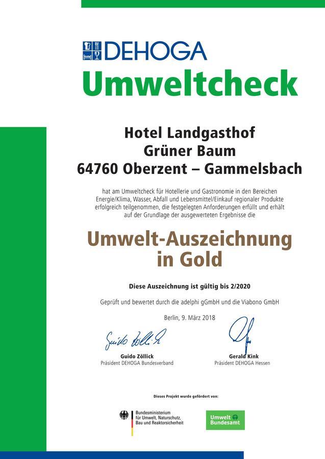 Hotel Landgasthof Grüner Baum Oberzent Exterior foto